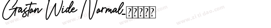 Gaston Wide Normal字体转换